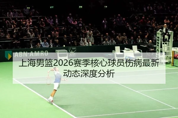 上海男篮2026赛季核心球员伤病最新动态深度分析
