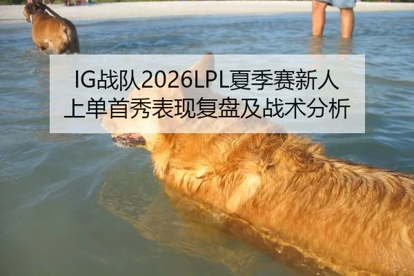 IG战队2026LPL夏季赛新人上单首秀表现复盘及战术分析